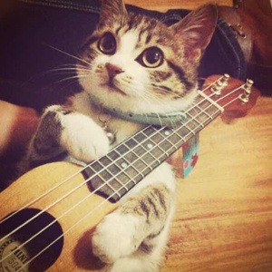 少萝自愿裸体❌❌看片
